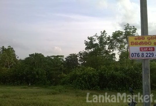 LAND for SALE in HORANA