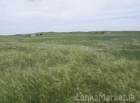 Land in Puttalama for sale