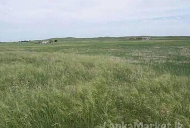 Land in Puttalama for sale