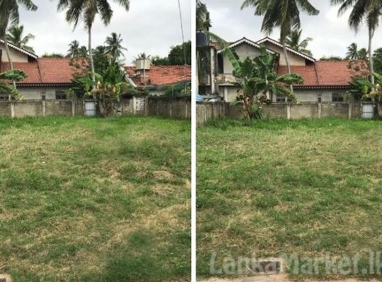 Land for Sale in Negombo