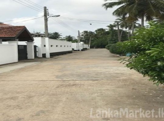 Land for Sale in Negombo