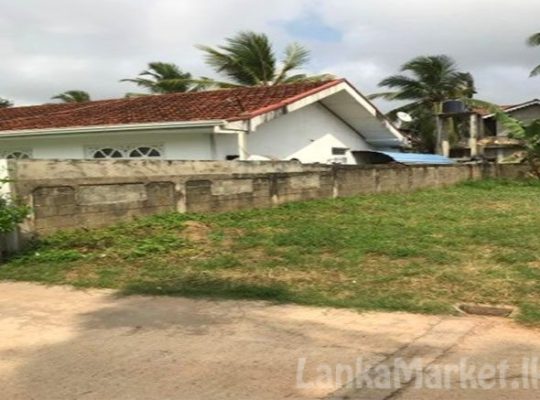 Land for Sale in Negombo