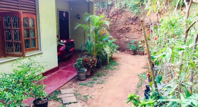 House with land for sale