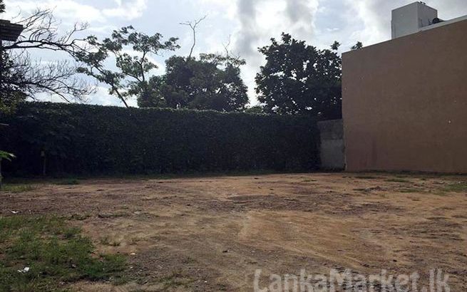 Two Land Blocks for Sale