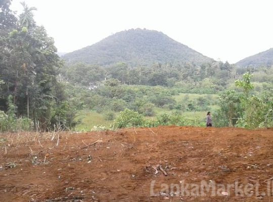 LAND FOR SALE KALUTARA