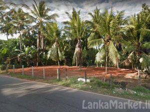 55 Perches Commercial Land for Sale