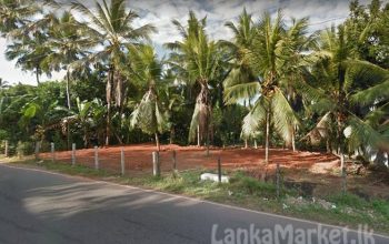 55 Perches Commercial Land for Sale