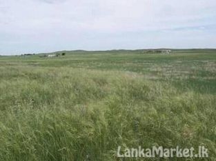 Land for sale in Puttalama