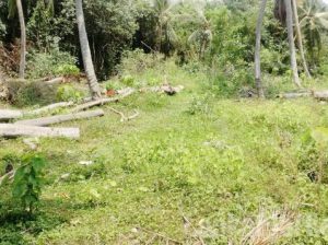 Land for sale in Kerawalapitiya