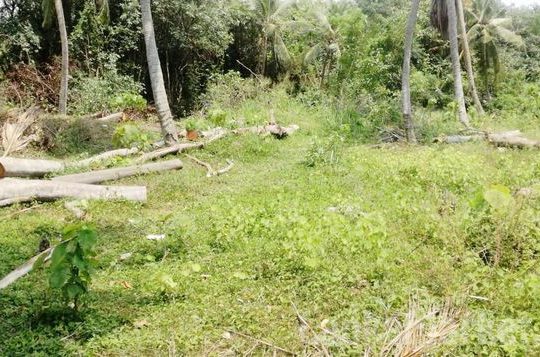 Land for sale in Kerawalapitiya