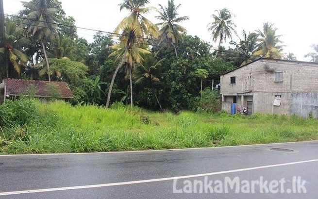 Commercial Land for Sale