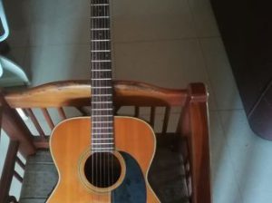 Morris Semi Acoustic Guitar for sale