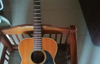 Morris Semi Acoustic Guitar for sale