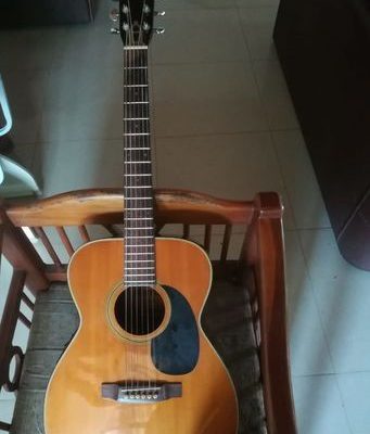 Morris Semi Acoustic Guitar for sale