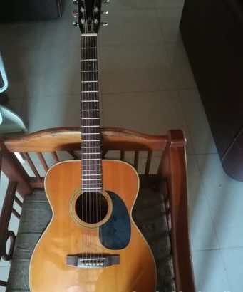 Morris Semi Acoustic Guitar for sale
