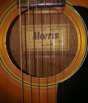 Morris Semi Acoustic Guitar for sale