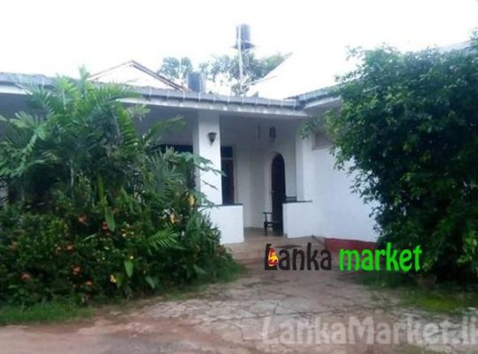 Perches Land with House for Sale