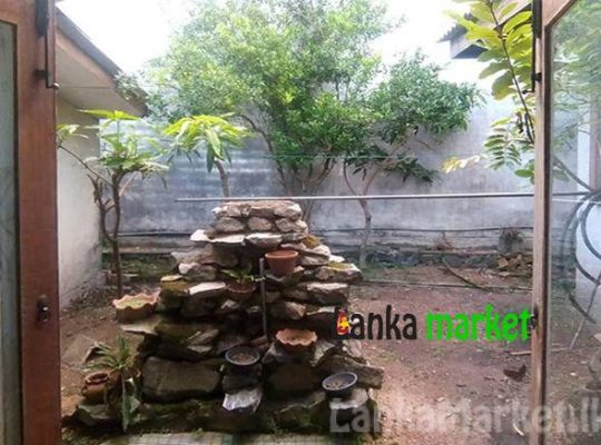 Perches Land with House for Sale