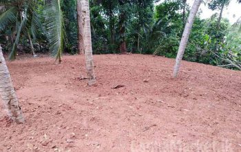 20 Perches Land for Sale
