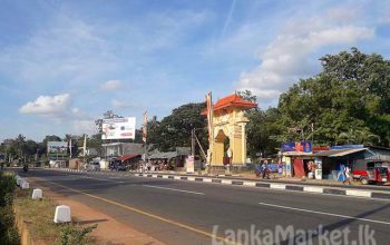 Commercial Land For Sale in Dambulla