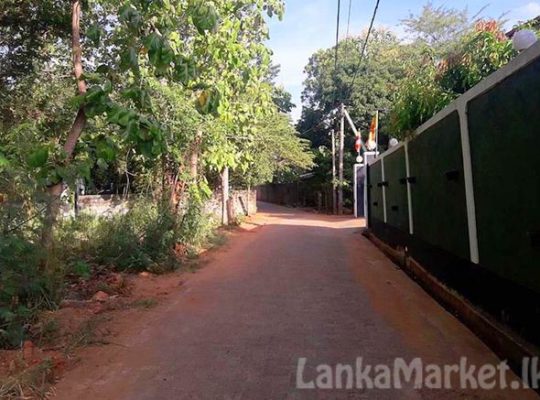 Commercial Land For Sale in Dambulla