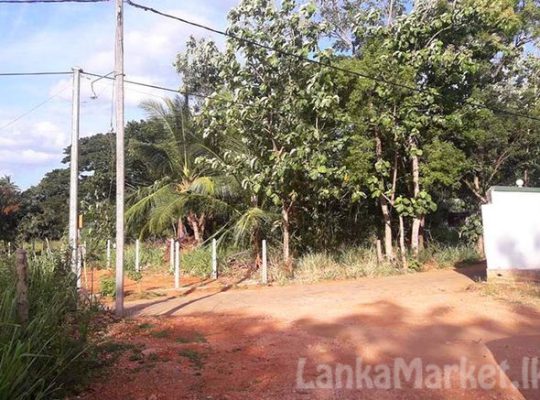 Commercial Land For Sale in Dambulla