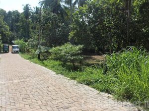 Two Land Blocks for Sale