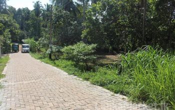 Two Land Blocks for Sale