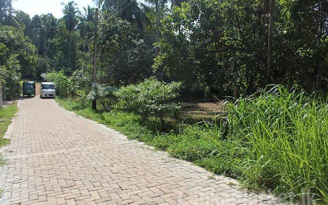 Two Land Blocks for Sale