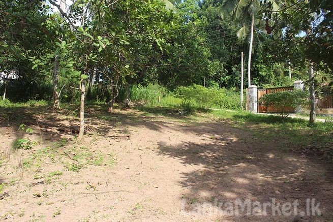 Two Land Blocks for Sale