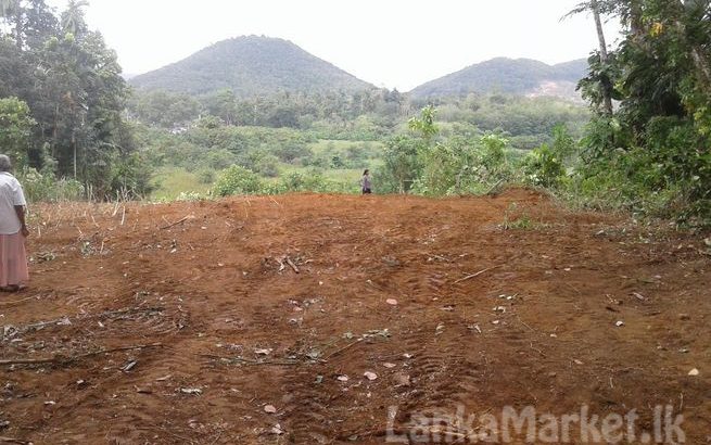 Kalutara Dodangoda – land