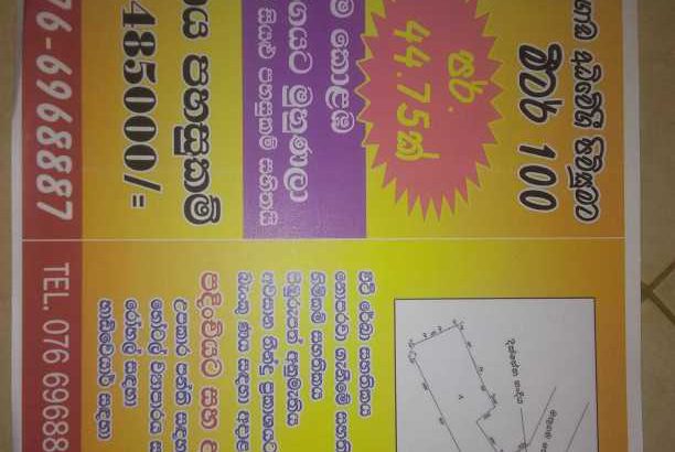 Dodangoda bare land for sale