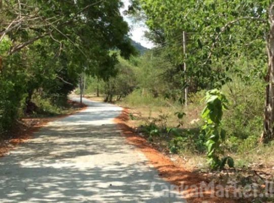 Land for Sale at katharagama.