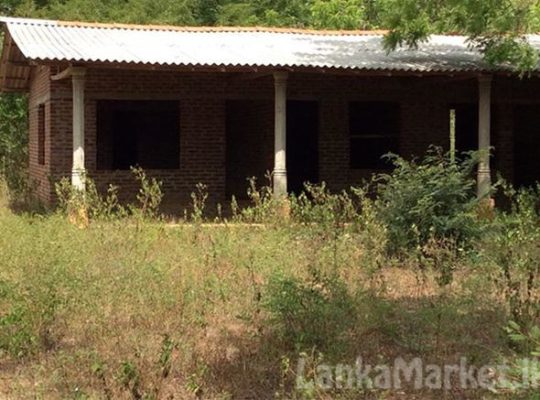 Land for Sale at katharagama.