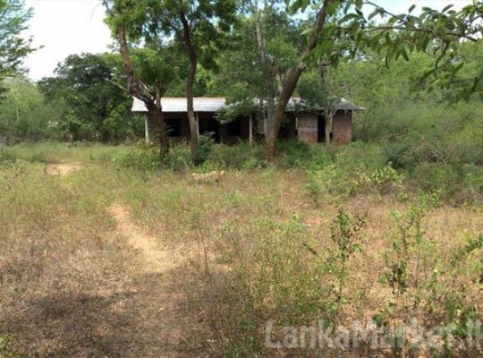 Land for Sale at katharagama.