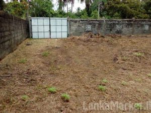 Land in Nittambuwa City Limit for Sale