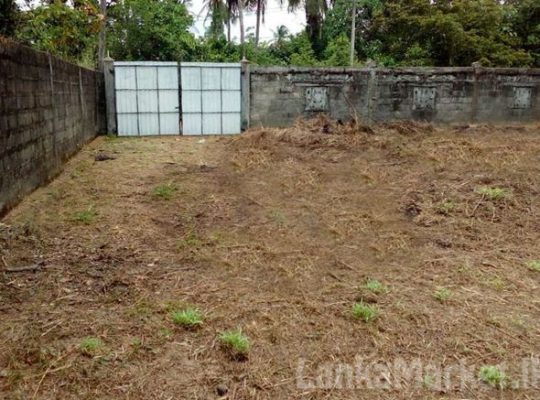 Land in Nittambuwa City Limit for Sale