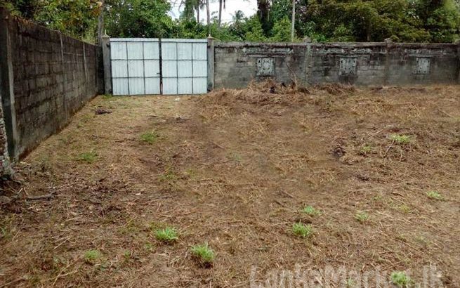 Land in Nittambuwa City Limit for Sale