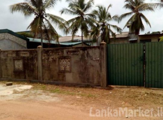 Land in Nittambuwa City Limit for Sale