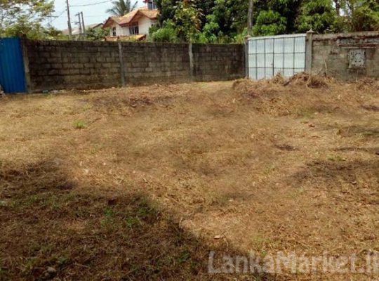 Land in Nittambuwa City Limit for Sale