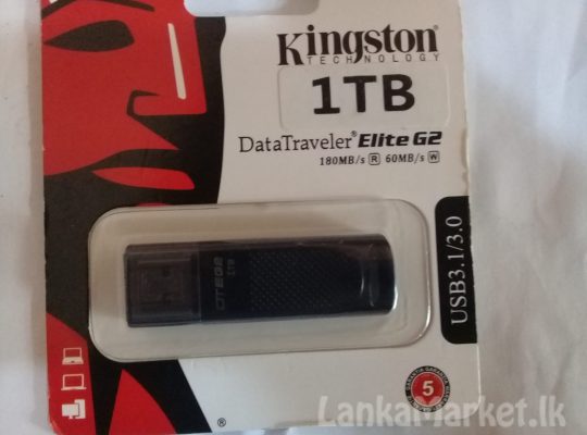 Kingston Pen Drive 1 Tb