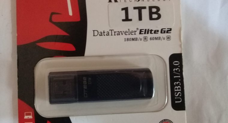 Kingston Pen Drive 1 Tb