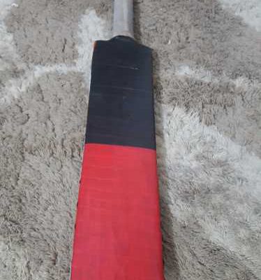 cricket leather bat