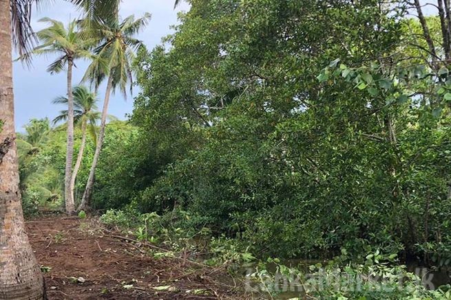 Commercial Land for Sale in Galle, Unawatuna Tourism Area.