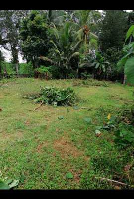 Land for sale