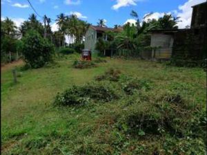 Land for sale