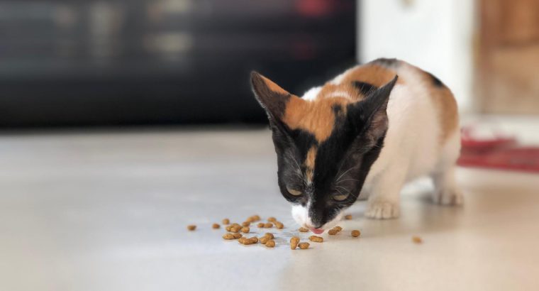 Lovely Kitten free….Adorable Kittens These adorable 2 month old kittens are looking for loving ho