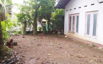 House for rent in Thalawathugoda in front of Grand Monarch Hotel