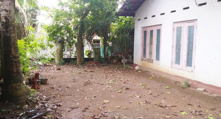 House for rent in Thalawathugoda in front of Grand Monarch Hotel