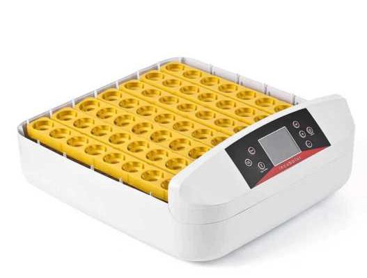 56 Egg incubator